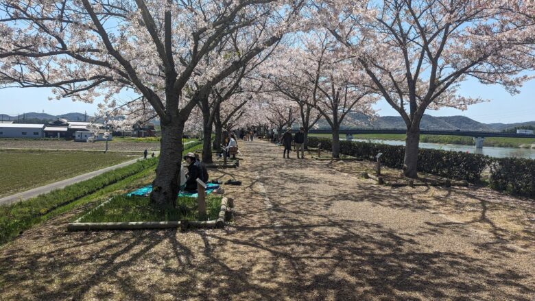おの桜つづみ回廊